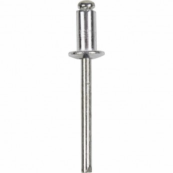 Заклепки REXANT 4.8xx8 мм, 50 шт. Заклепки REXANT 4.8xx8 мм, 50 шт.